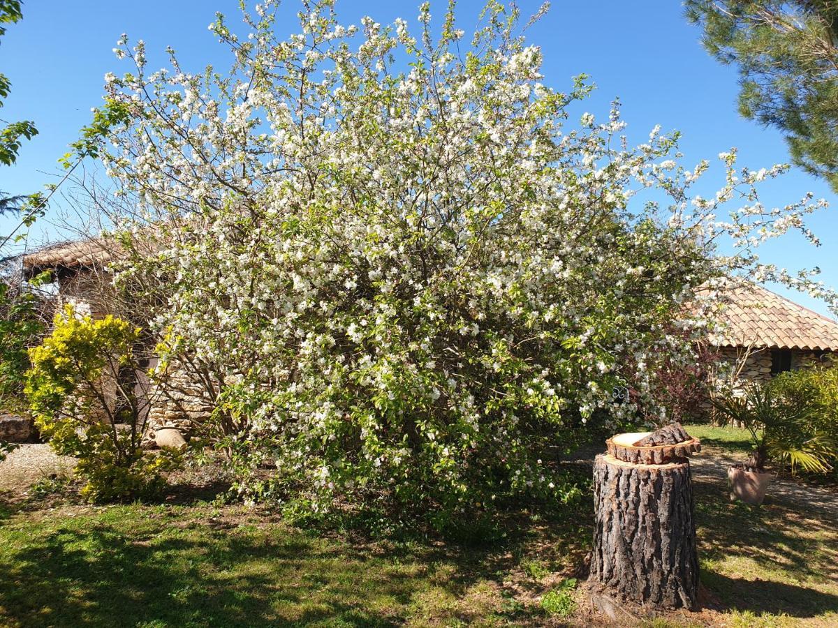 Le Clos D'Almide Monestier  Exterior photo